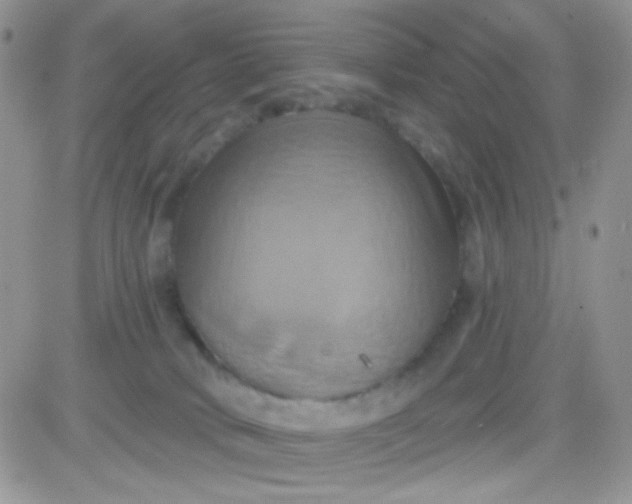 X0000081500034200701262130