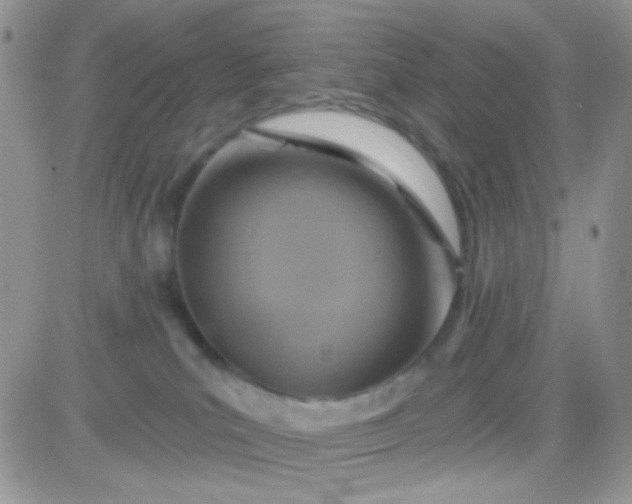 X0000081500039200701262130