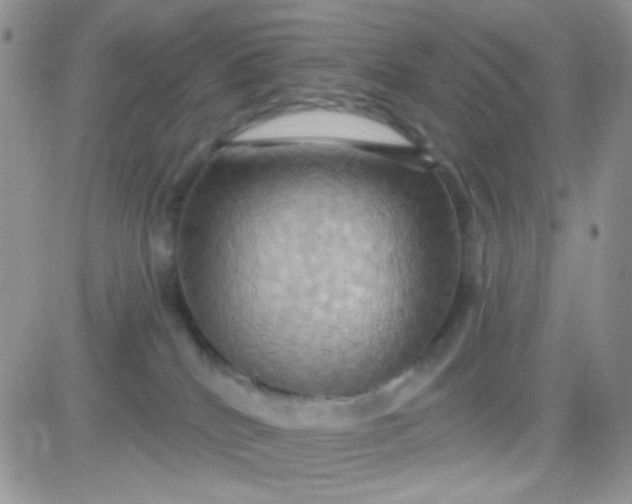 X0000081500040200701262130