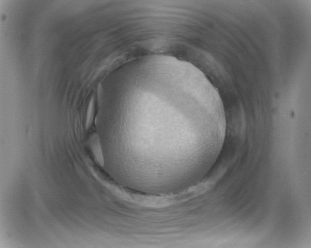 X0000081500044200701262130