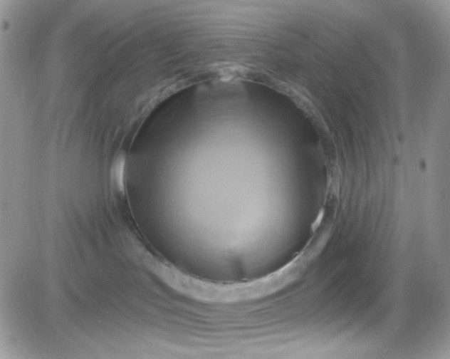 X0000081500047200701262130