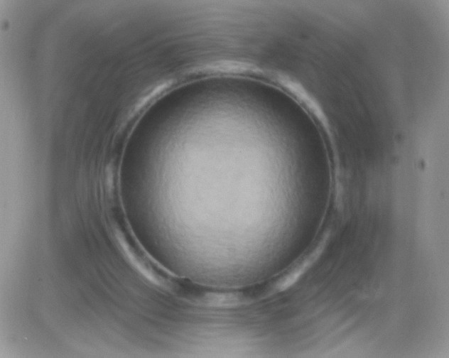 X0000081500057200701262129