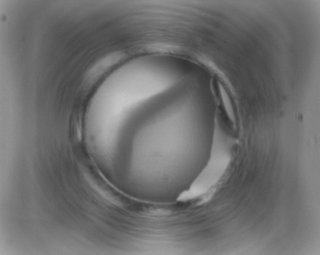 X0000081500062200701262129