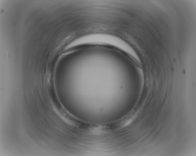 X0000081500072200701262129