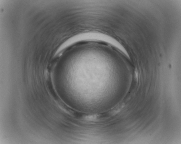X0000081500084200701262129
