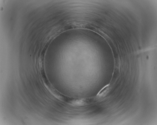 X0000081500086200701262129