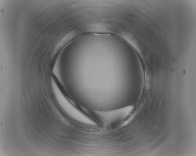 X0000081500109200701262129