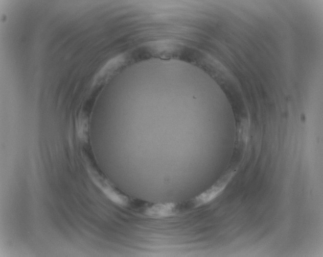 X0000081500138200701262128
