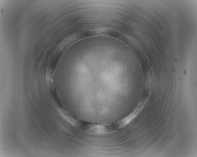 X0000081500140200701262128