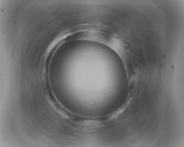 X0000081500150200701262127