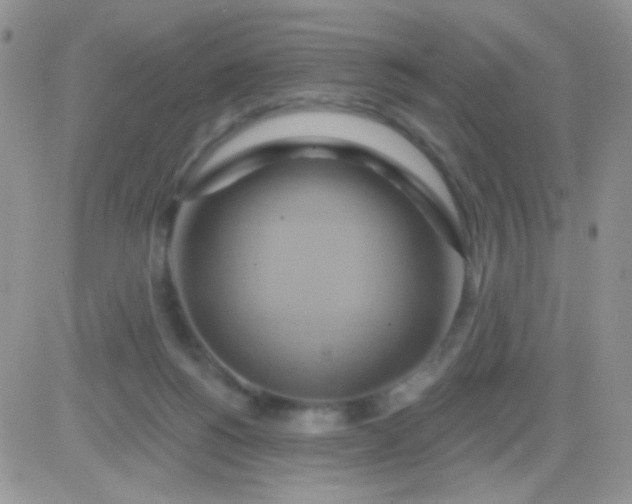 X0000081500168200701262128