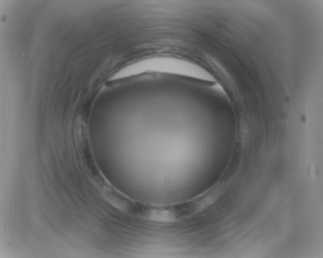X0000081500169200701262128