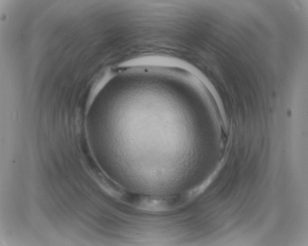 X0000081500174200701262128