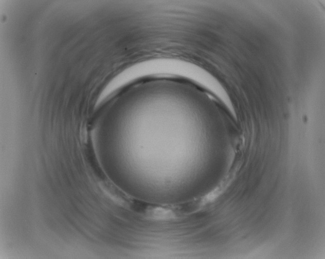 X0000081500180200701262128