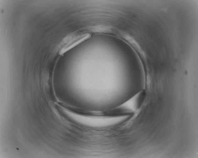 X0000081500201200701262127