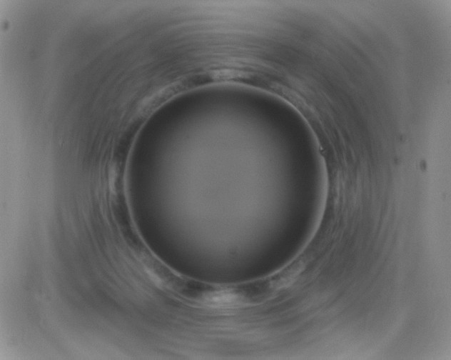 X0000081500219200701262127