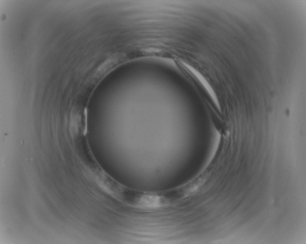 X0000081500227200701262127