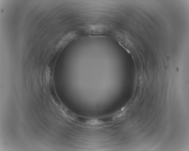 X0000081500231200701262127