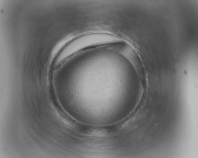 X0000081500248200701262126