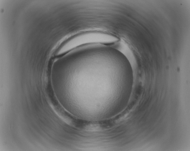 X0000081500252200701262126