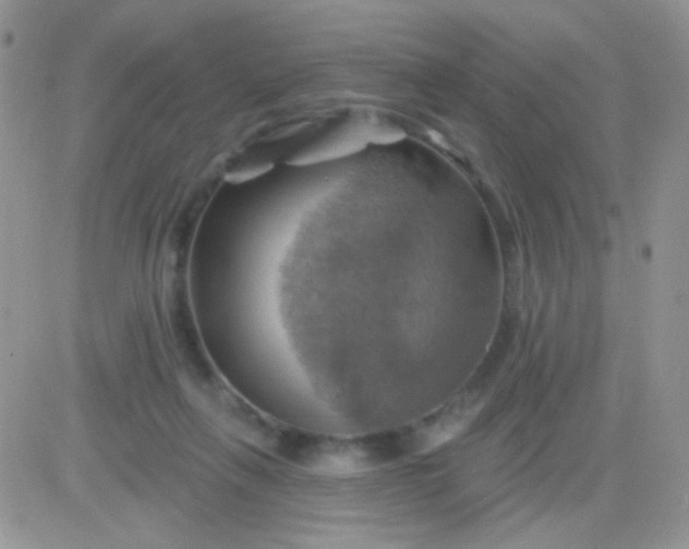 X0000081500263200701262126