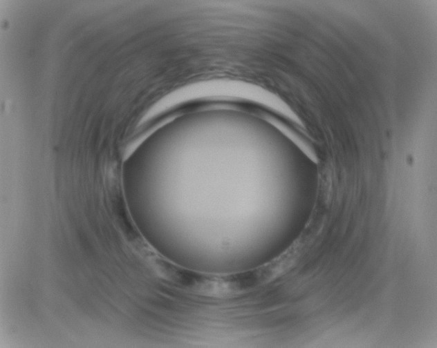 X0000081500276200701262126