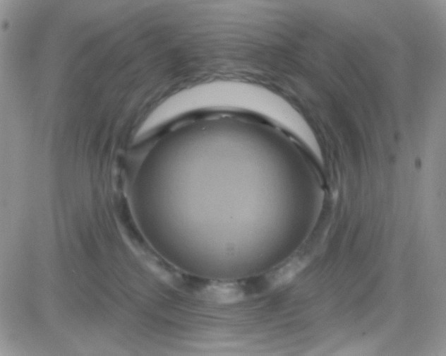 X0000081500280200701262126