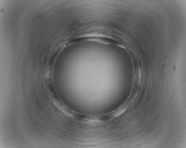 X0000081500284200701262126