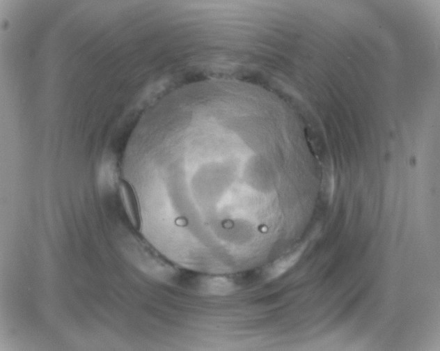 X0000081500287200701262126