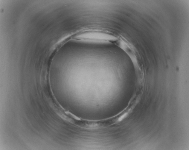 X0000081500301200701262125