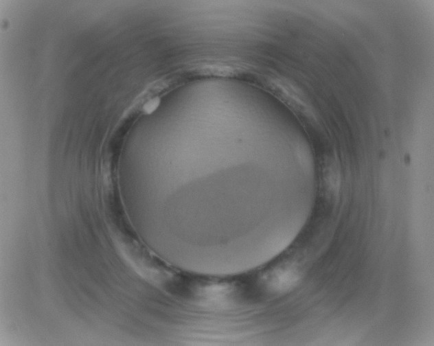 X0000081500312200701262125