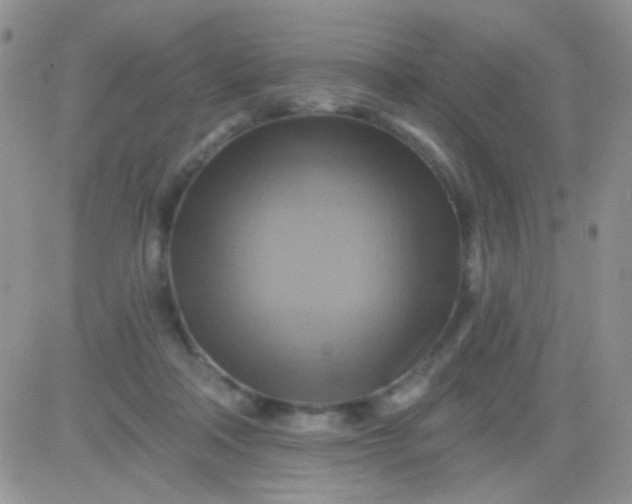 X0000081500314200701262125