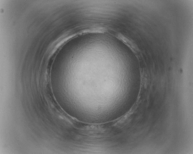 X0000081500338200701262124