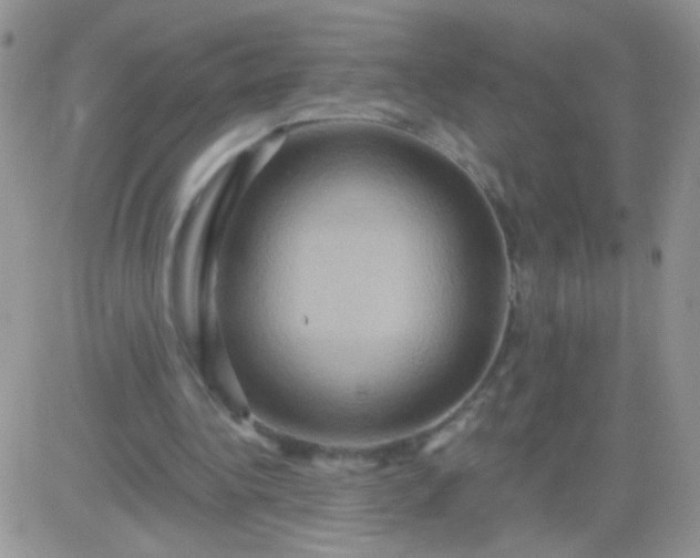 X0000081500340200701262124