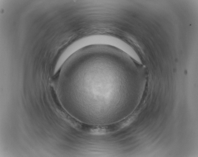 X0000081500362200701262125
