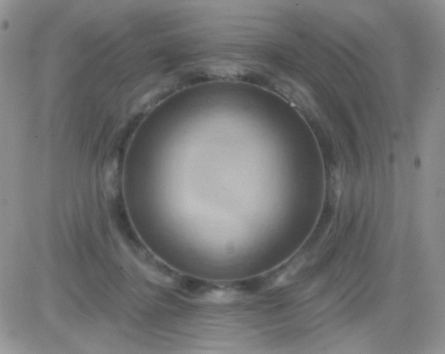 X0000081500364200701262125
