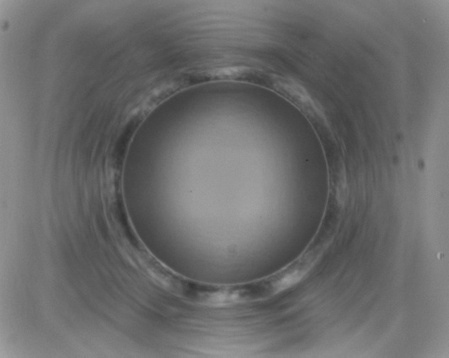 X0000081500366200701262125