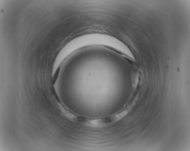 X0000081500382200701262125