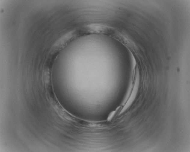 X0000081500413200701262124
