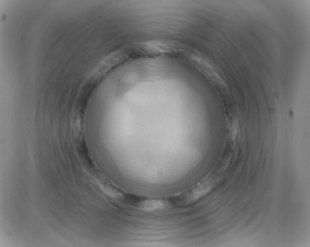 X0000081500418200701262124