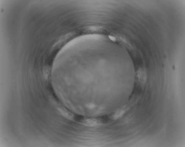 X0000081500423200701262123