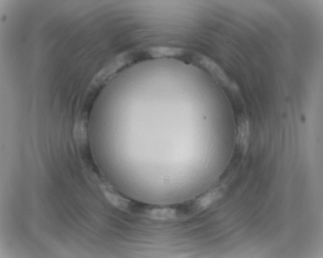 X0000081500426200701262123
