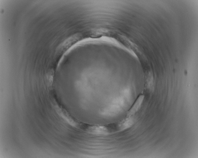 X0000081500427200701262123