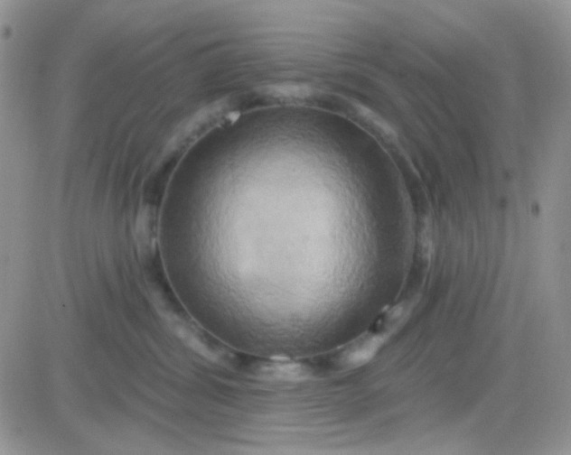 X0000081500428200701262123