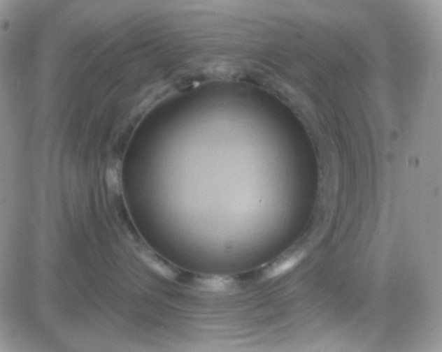 X0000081500432200701262123