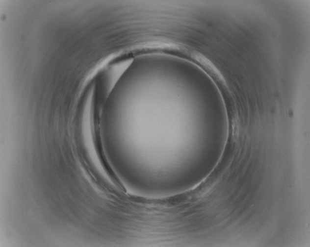 X0000081500436200701262123