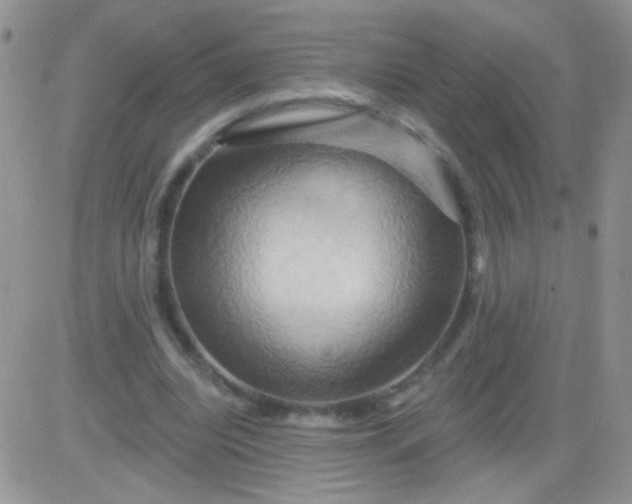 X0000081500440200701262123