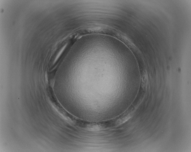 X0000081500454200701262123