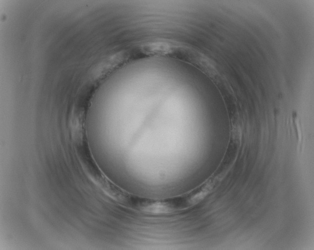 X0000081500460200701262123