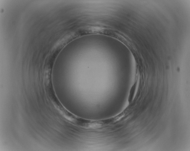 X0000081500462200701262123